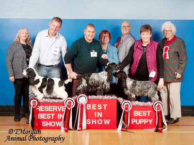 BIS Champ Show 2019