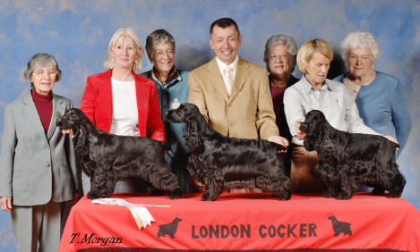 Best In Show Dec 2007