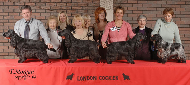 Best In Show  Dec 2008
