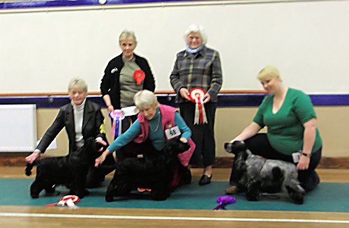Best In Show feb 2012