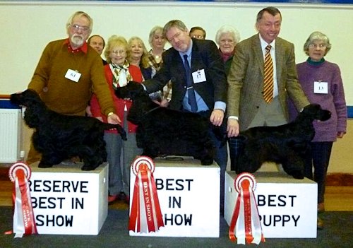 Best In Show Feb 2013