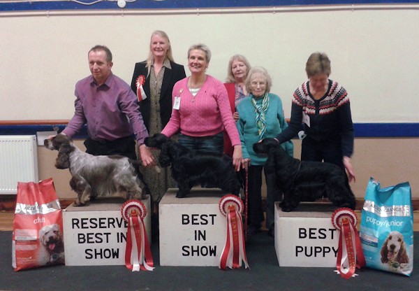 BIS Open Show February 2015