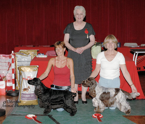 Best In Show July 2010