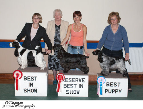 Best In Show line up July 2011