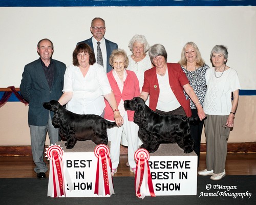 Best in Show Open Show July 2013
