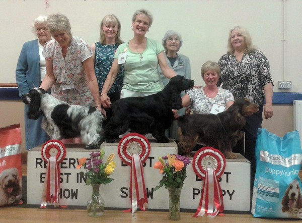 BIS July 2015 Open Show
