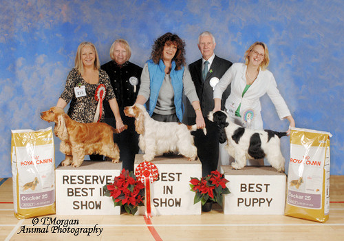 Best In Show Lineup December 2010
