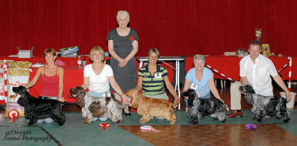 BIS Line Up July 2010