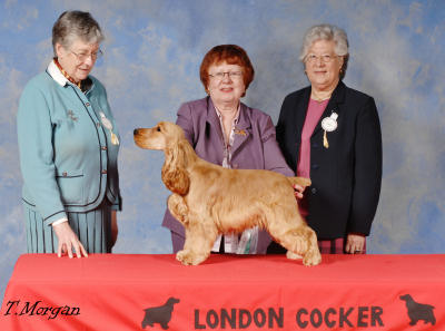 Best Minor Puppy In Show Dec 2007