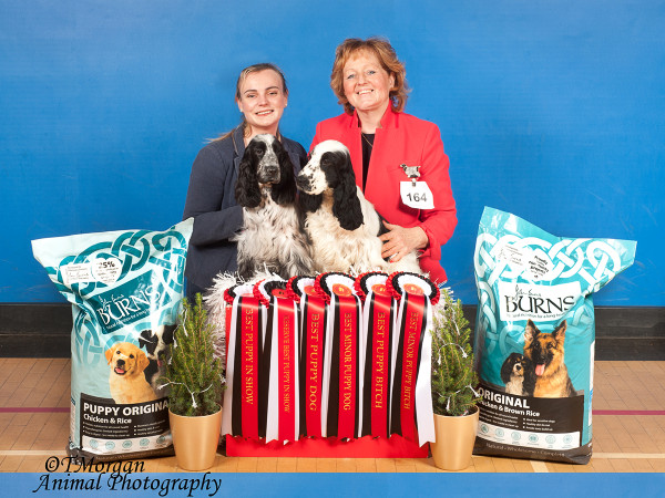 BPD & BPB Champ Show 2023