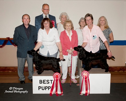 BPIS Open Show July 2013