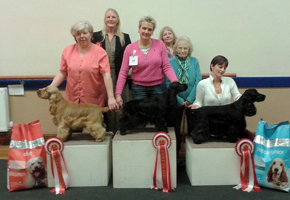 BPIS & BVIS Open Show 2015