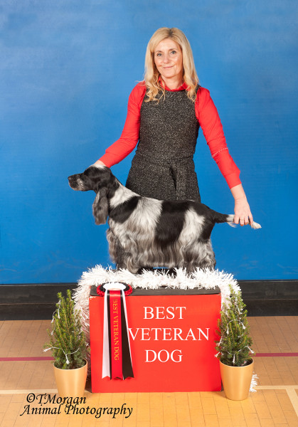 BVD Ch Show 2023