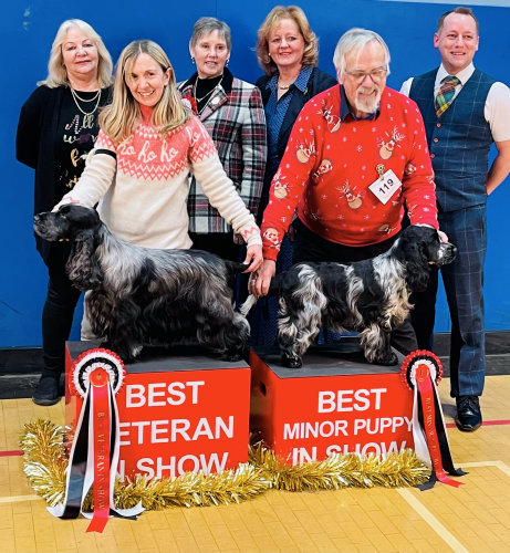 BVIS and BMPIS Champ Show 2021