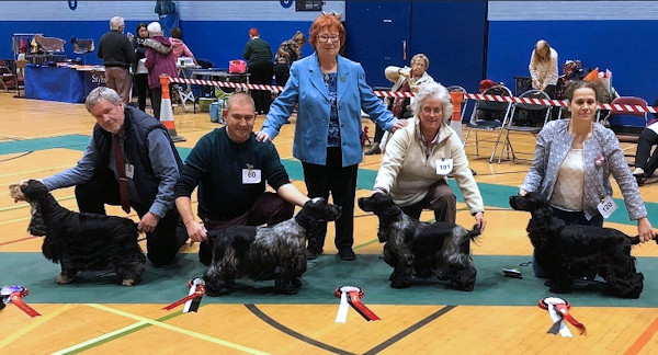 Main dog winners December 2019