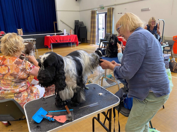 Grooming Day 2022