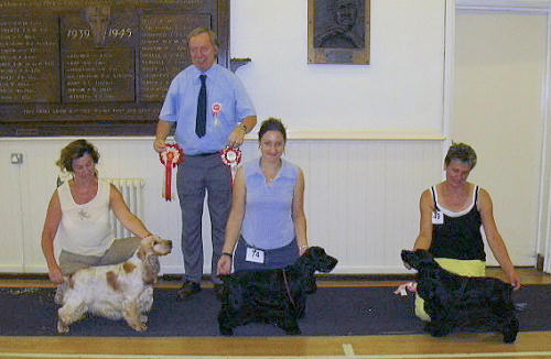 BIS July 2006