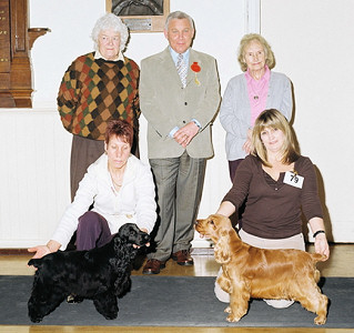 BMPIS and BVIS Open Show Feb 07
