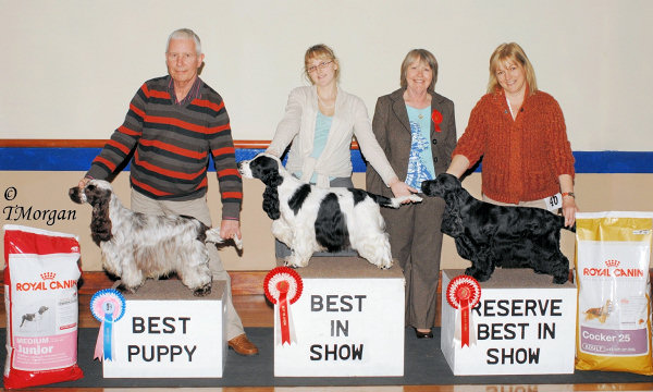 Best In Show Feb 2011 Photo by T Morgan