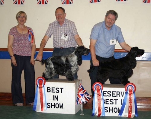 Open Show July 2012