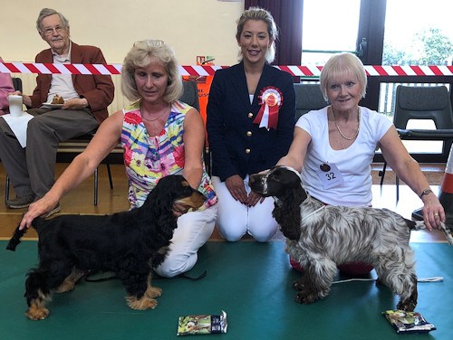 Puppy Walk July 2019