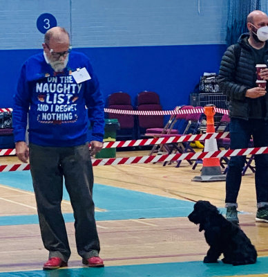 Puppy Walk Ch Show 2021