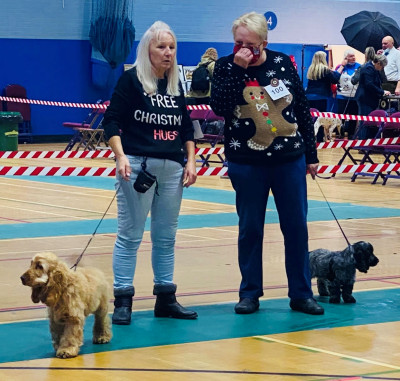 Puppy Walk Ch Show 2021 