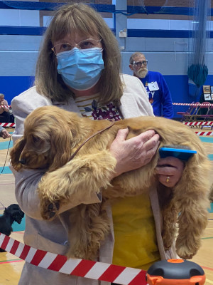 Puppy Walk Ch Show 2021