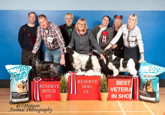 RDCC RBCC BVIS Champ Show 2023