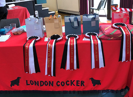Rosettes July 2019