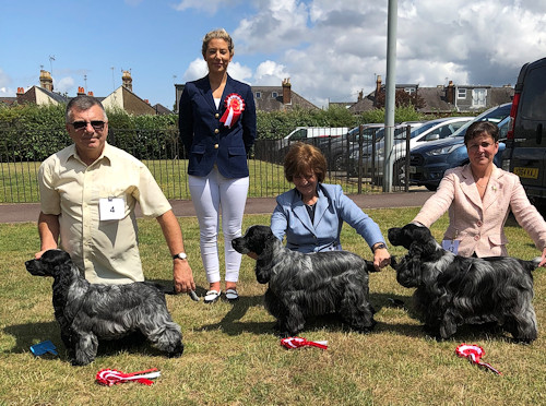Special Awards July 2019